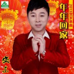 年年回家(单曲)详情