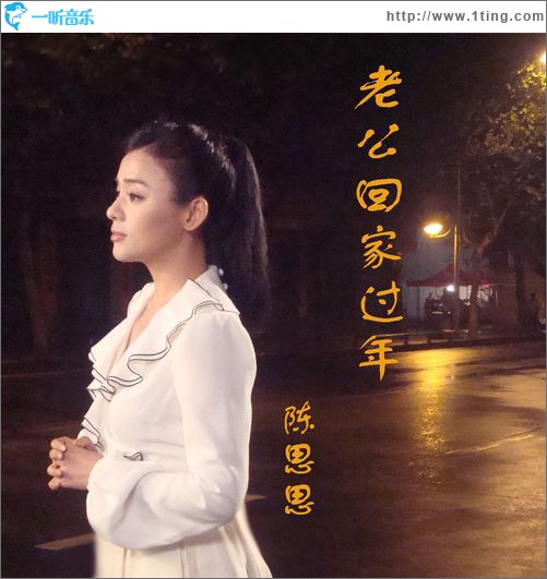 老公回家过年(单曲)