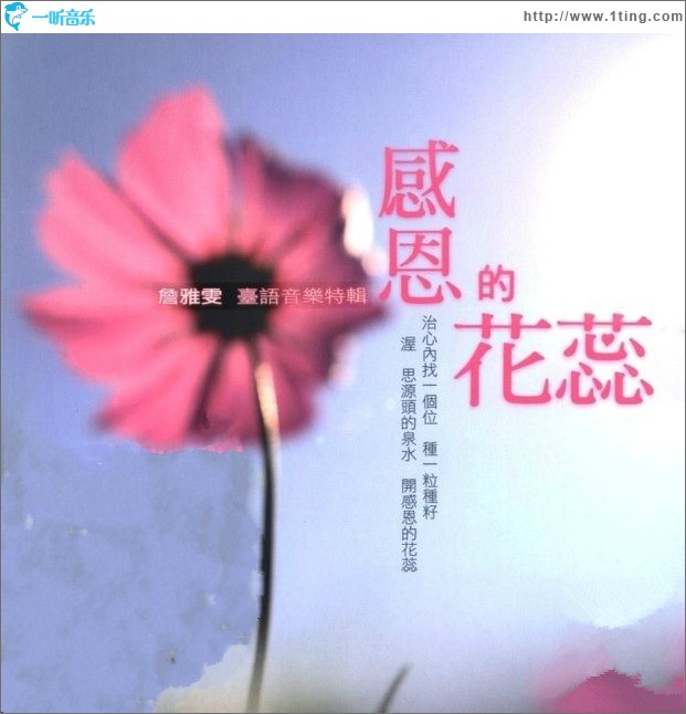 感恩的花蕊