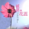 詹雅雯 感恩的花蕊 试听
