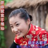 愿做鸳鸯不羡仙(单曲)