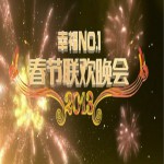 江苏卫视 2013 春晚试听