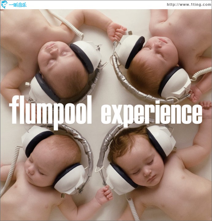 Experience