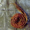 Further Down The Spiral