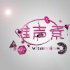 唯声素2012年度合辑