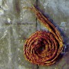 Further Down the Spiral V2