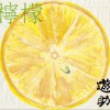 遊助 (羞耻心) 檸檬 试听