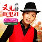又见山里红(单曲)