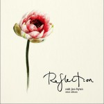 Reflection详情