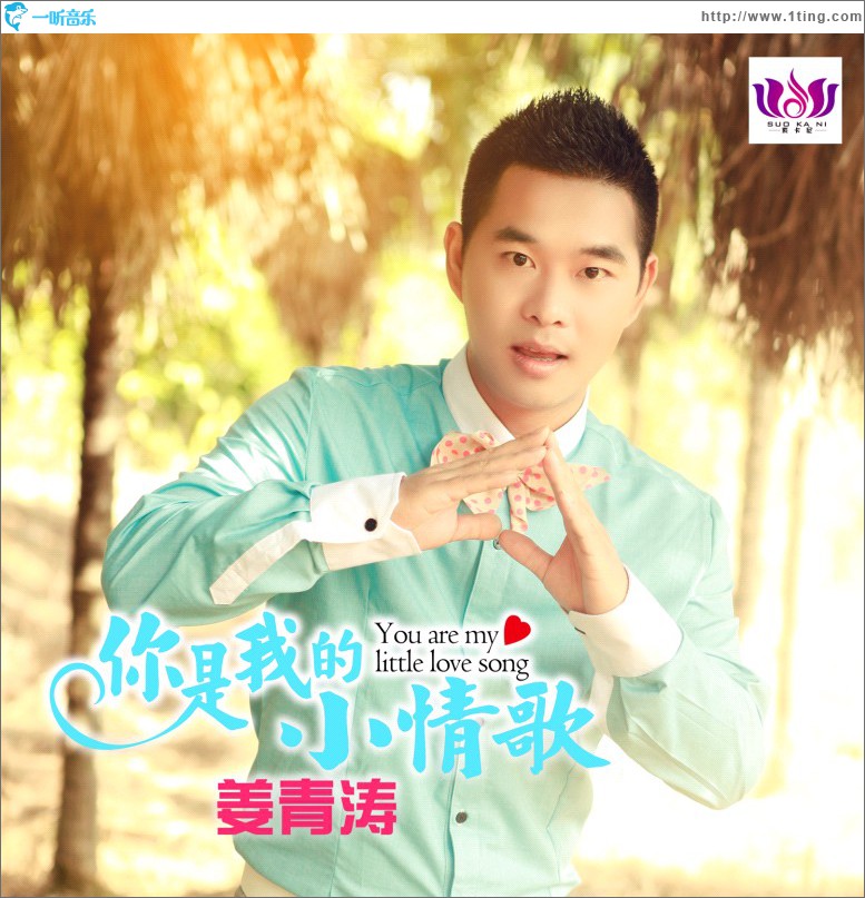你是我的小情歌(单曲)