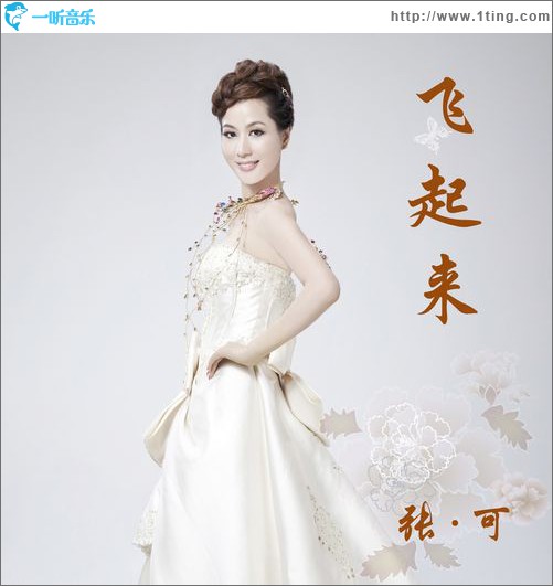 飞起来