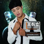 我的爱情全是伤(单曲)详情