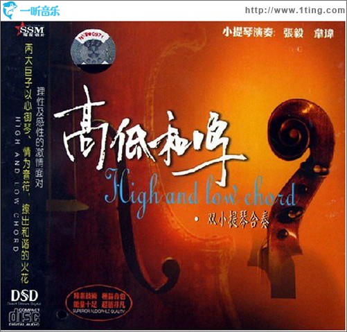 高低和鸣－双小提琴合奏