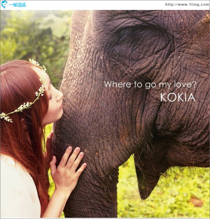 Where to go my love?