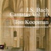 古典音乐 BWV.130 - 1. Chorus: Herr Gott, dich loben wir alle 试听