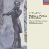 古典音乐 On the Beautiful Blue Danube (An der schonen blauen Donau) op. 314 (Strauss, Johann, Jr.) 试听