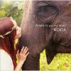 吉田亚纪子(KOKIA) Dance with the wind 试听