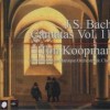 古典音乐 BWV.127 - 1. Chorus: Herr Jesu Christ, wahr' Mensch und Gott 试听
