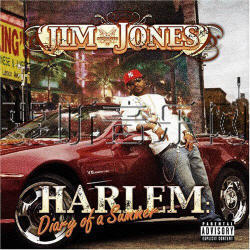 Harlem Diary Of A Summer