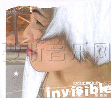 Invisible