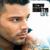 Ricky Martin Drop It on Me 试听