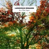 Ludovico Einaudi Life 试听