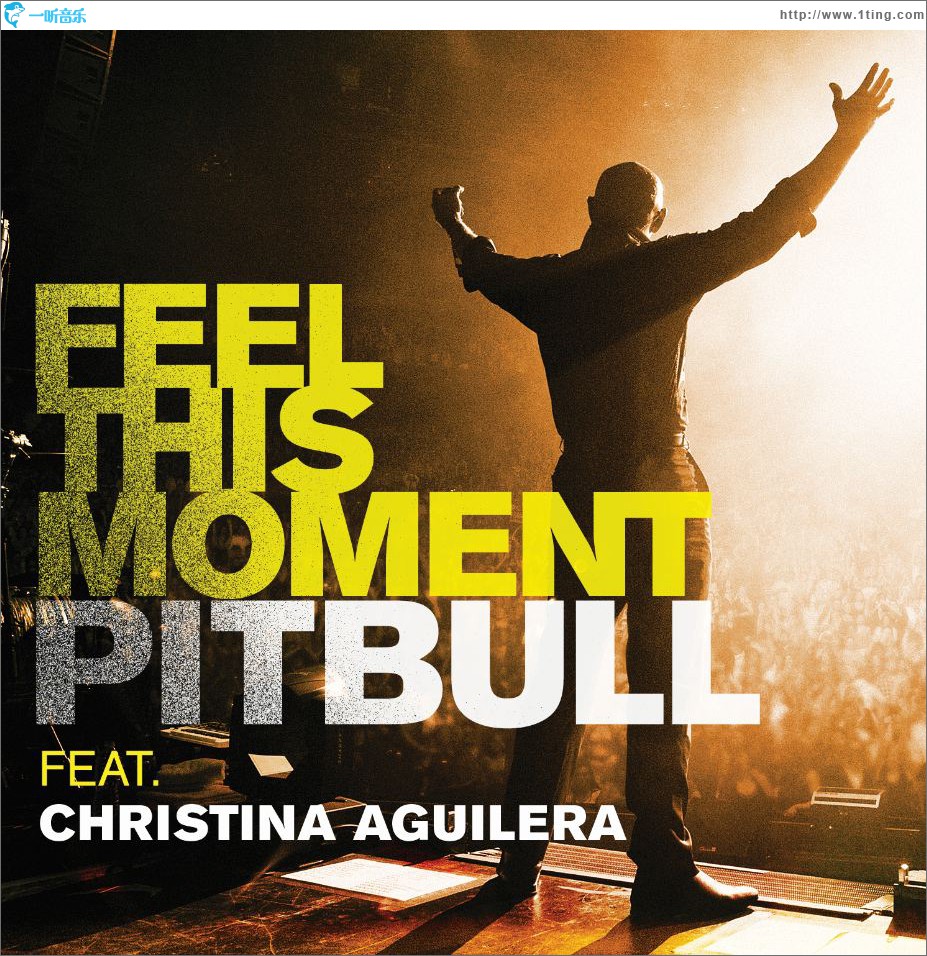 Feel This Moment REMIXES