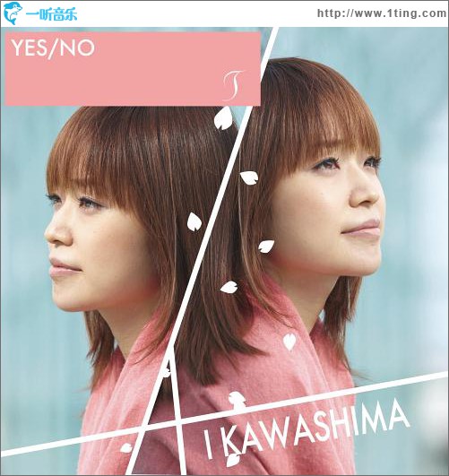 YES/No/ T (Single)