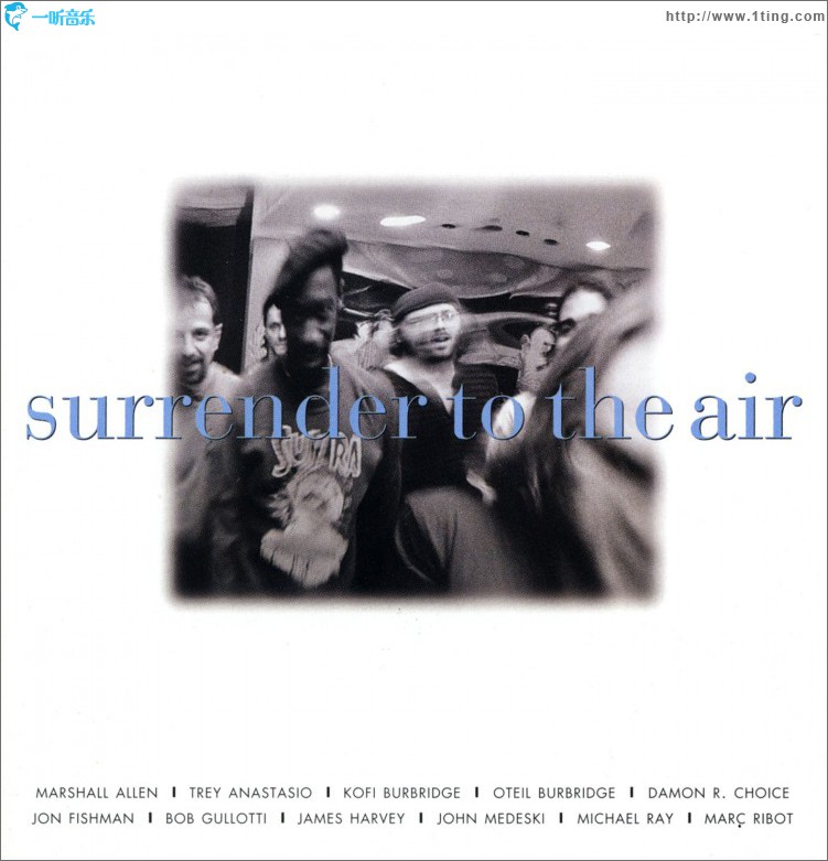 Surrender To The Air