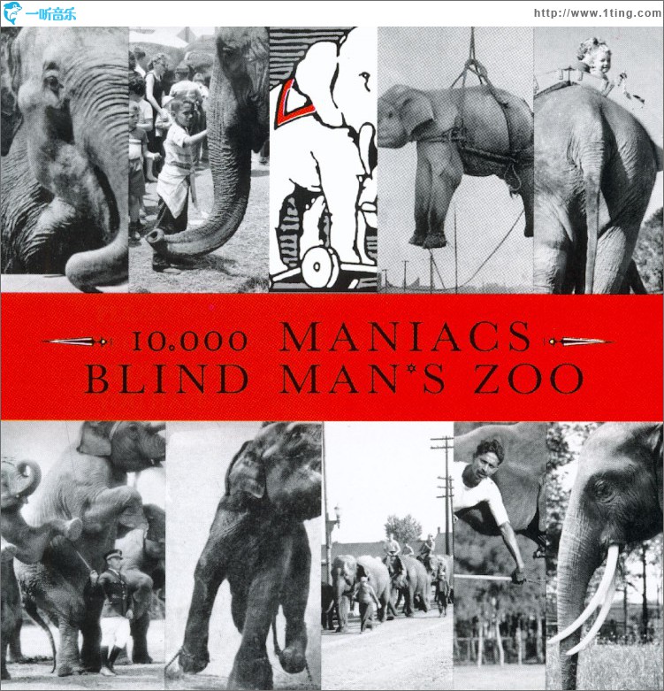 Blind Man's Zoo