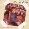 Bryan White I'll Be Home For Christmas (LP Version) 试听