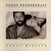 Teddy Pendergrass She Knocks Me Off My Feet (LP Version) 试听