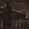 David Sanborn Rikke (LP Version) 试听