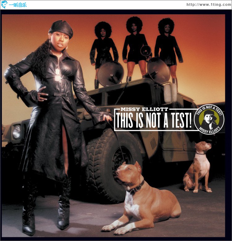 This Is Not A Test! (U.S. Amended Version)