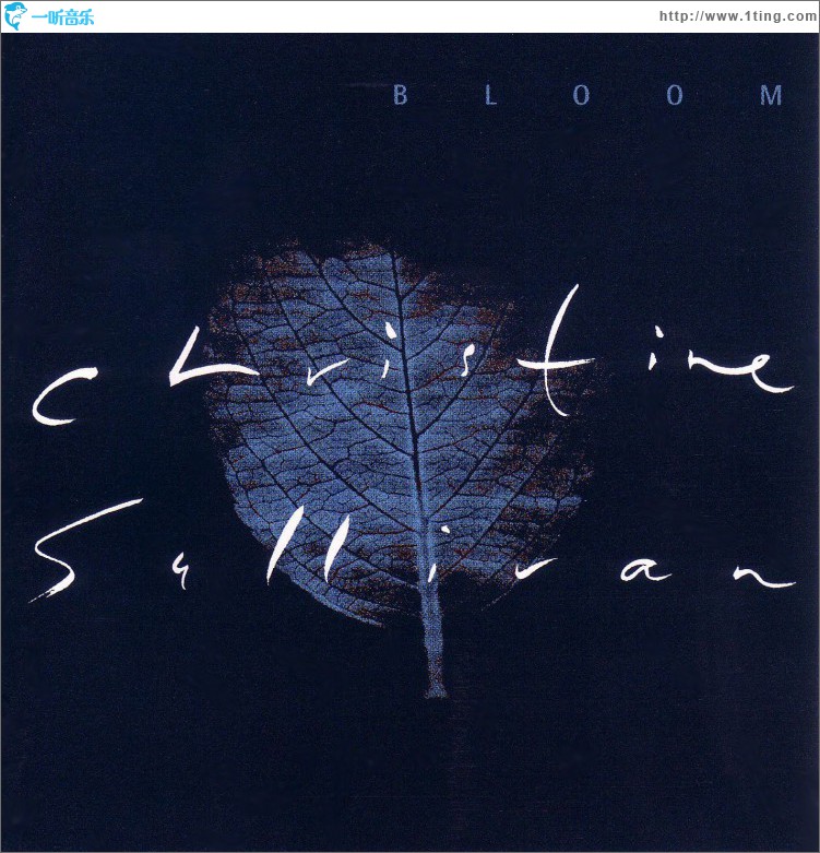 Bloom
