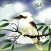 Matt Taylor Fair Dinkum Aussie Blues 试听