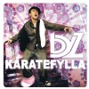 Karatefylla