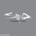 14 Shades Of Grey (US Amended Version)