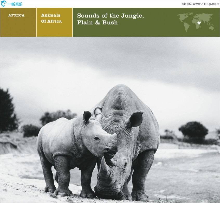 ANIMALS OF AFRICA Sounds of the Jungle, Plain & Bush