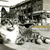 Billy Bragg & Wilco Airline To Heaven 试听