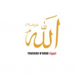 Egypt详情