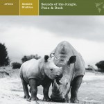 ANIMALS OF AFRICA Sounds of the Jungle, Plain & Bush详情