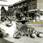 Mermaid Avenue Vol. II详情