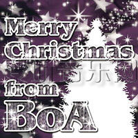 Merry Christmas From BoA