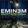 Curtain Call: The Hits
