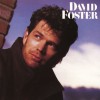 David Foster Love Theme From St. Elmo's Fire (Instrumental) 试听