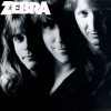 Zebra Tell Me What You Want (LP Version) 试听