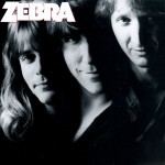 Zebra详情