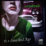 It's A Shame About Ray详情
