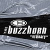 Buzzhorn Ordinary (Album Version) 试听